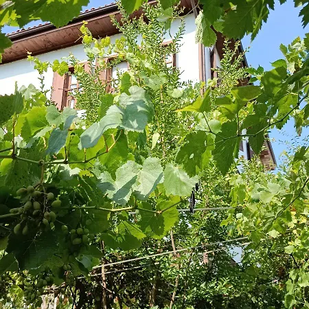 Frühstückspension Camlica Carsi Safranbolu
