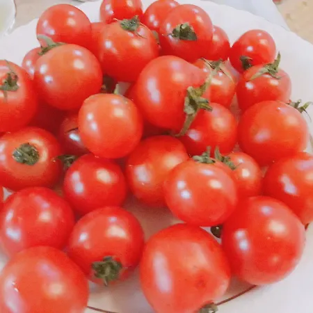 Frühstückspension Camlica Carsi